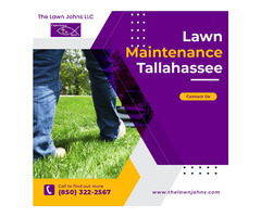 Need a fabulous-looking lawn? Contact The Lawn Johns | free-classifieds-usa.com - 1