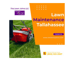 Need a fabulous-looking lawn? Contact The Lawn Johns | free-classifieds-usa.com - 2