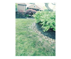 Flores Landscaping Tree Services | free-classifieds-usa.com - 3