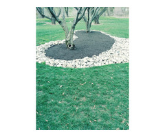 Flores Landscaping Tree Services | free-classifieds-usa.com - 4
