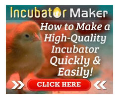 Learn to build your own Incubator | free-classifieds-usa.com - 1