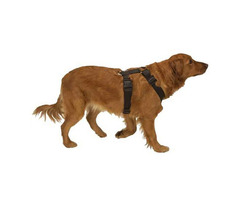 Heavy Duty Dog Harness | free-classifieds-usa.com - 1