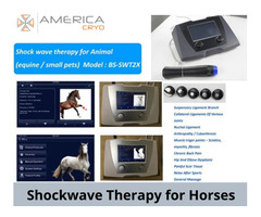 Shockwave Therapy for Horses | free-classifieds-usa.com - 1
