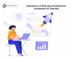 Importance of Web application for Startup | free-classifieds-usa.com - 1