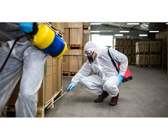 Professional Termite And Pest Control Expert in Bradenton | free-classifieds-usa.com - 2