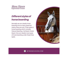 Different Styles Of Horse Boarding Mane Haven Equestrian Center | free-classifieds-usa.com - 1