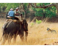 Book Your Customised Jim Corbett National Park Safari Packages | free-classifieds-usa.com - 1