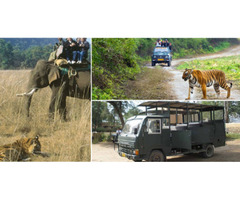Book Your Customised Jim Corbett National Park Safari Packages | free-classifieds-usa.com - 2