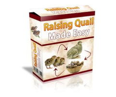 Learn how to raising quails | free-classifieds-usa.com - 1