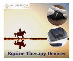 Equine Therapy Devices | free-classifieds-usa.com - 1