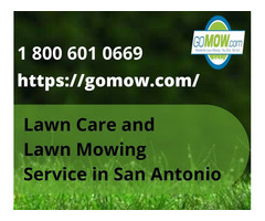 Buy Cheap Lawn Care and Lawn Mowing Service in San Antonio | free-classifieds-usa.com - 1