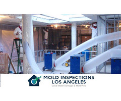 Mold Inspections Los Angeles | free-classifieds-usa.com - 1