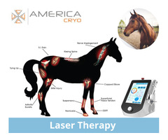 Laser Therapy  | free-classifieds-usa.com - 1