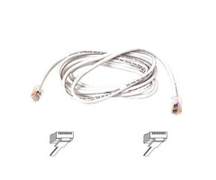 Are you looking for Belkin Cat6 Cable? | free-classifieds-usa.com - 1