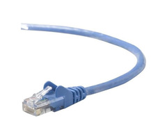 Are you looking for Belkin Cat 5e patch cable? | free-classifieds-usa.com - 1
