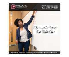 Tips to Cut Your Tax This Year | free-classifieds-usa.com - 1