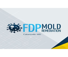 FDP Mold Remediation | free-classifieds-usa.com - 1