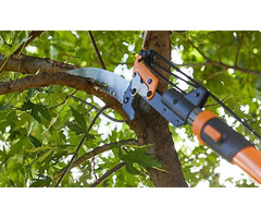G Maya Tree Services and Landscaping | free-classifieds-usa.com - 1