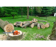 G Maya Tree Services and Landscaping | free-classifieds-usa.com - 2
