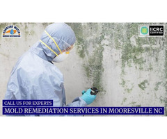 Call us for Experts Mold Remediation Services in Mooresville NC | free-classifieds-usa.com - 1