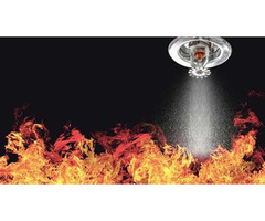 Mobile Fire Sprinkler Inspection Software | FireLab | free-classifieds-usa.com - 1