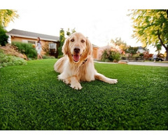 Artificial Grass for Pets | Artificial Turf for Dogs - Smart Grass  | free-classifieds-usa.com - 1