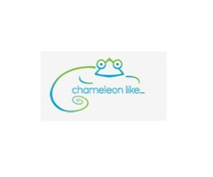 Chameleon Like | free-classifieds-usa.com - 1