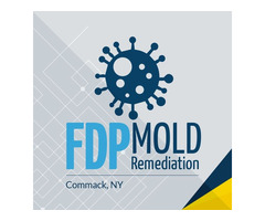 FDP Mold Remediation of Commack | free-classifieds-usa.com - 1