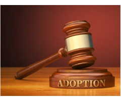 Consult An Experienced Law Firm For Child Adoption | free-classifieds-usa.com - 1