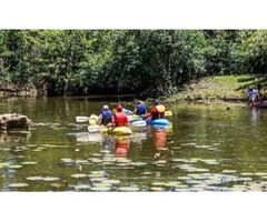 Kayaks and Boards Rentals | free-classifieds-usa.com - 1
