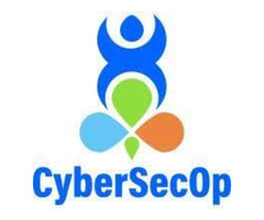 Cyber Security Consulting - IT Security Consulting, Rapid Response Services - Cybersecop | free-classifieds-usa.com - 1