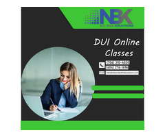 Get Dui Online Classes At NBK All Risk Solutions | free-classifieds-usa.com - 1
