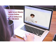 Agile Scrum Master Course Online | free-classifieds-usa.com - 1