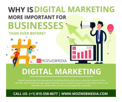 Digital Marketing Services in Chicago | free-classifieds-usa.com - 1