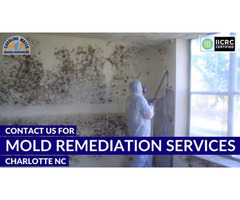 Contact us for Mold Remediation Services in Charlotte NC | free-classifieds-usa.com - 1