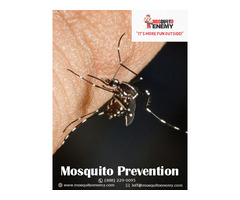 Mosquito and Tick Control System in Middleton | free-classifieds-usa.com - 1