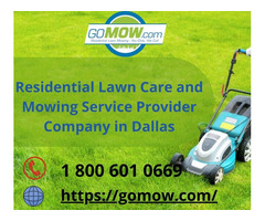 Residential Lawn Care and Mowing Service Provider Company in Dallas. | free-classifieds-usa.com - 1