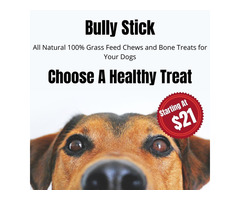 Get 100% Natural Grass Feed Chews and Bones Treats for Dogs | free-classifieds-usa.com - 1