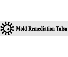 Mold Remediation in Tulsa | free-classifieds-usa.com - 1