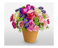 Buy Flowers Online USA | Flowers Delivery USa | Flora 2000 | free-classifieds-usa.com - 1