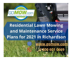 Residential Lawn Mowing and Maintenance Service Plans for 2021 in Richardson | free-classifieds-usa.com - 1