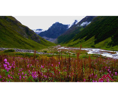 Valley of Flowers-Most Beautiful Place in Indian Himalayas | free-classifieds-usa.com - 1