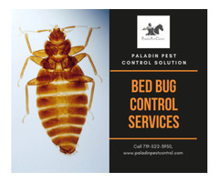 Bed Bug Control Services ‎Colorado Springs | free-classifieds-usa.com - 3