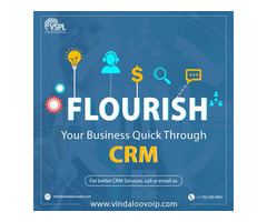 Flourish Your Business Quick Through CRM | free-classifieds-usa.com - 1