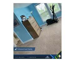Professional carpet cleaning Newton MA | free-classifieds-usa.com - 1