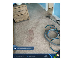 Professional carpet cleaning Newton MA | free-classifieds-usa.com - 3