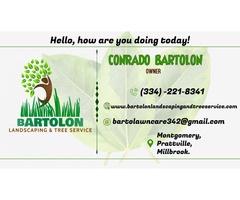 Bartolon Landscaping & Tree Service | free-classifieds-usa.com - 1