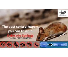 Top Rated Pest Control Company Colorado Springs | free-classifieds-usa.com - 3