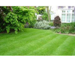 Evergreen Sprinkler and Landscaping Services | free-classifieds-usa.com - 2