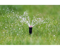 Evergreen Sprinkler and Landscaping Services | free-classifieds-usa.com - 4